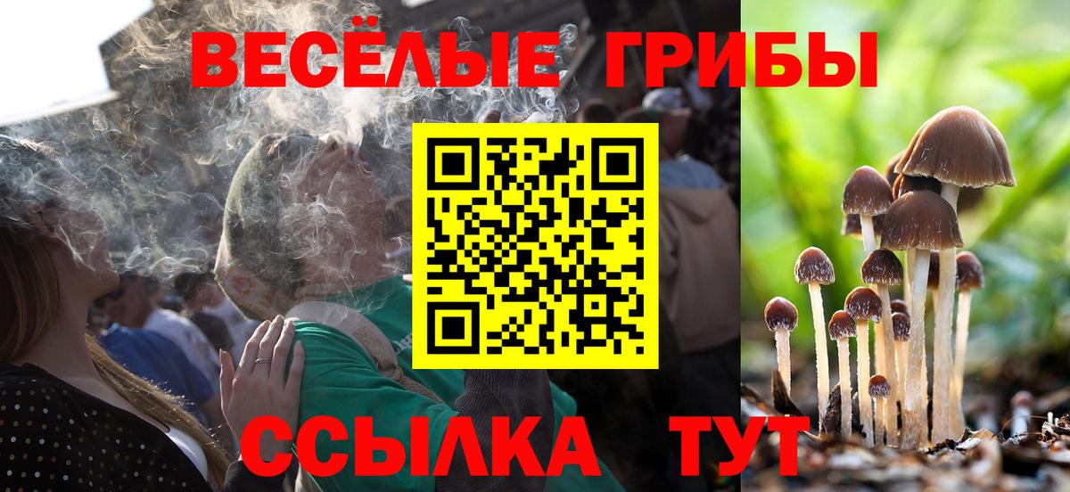 Галлюциногенные грибы Psilocybe Таганрог