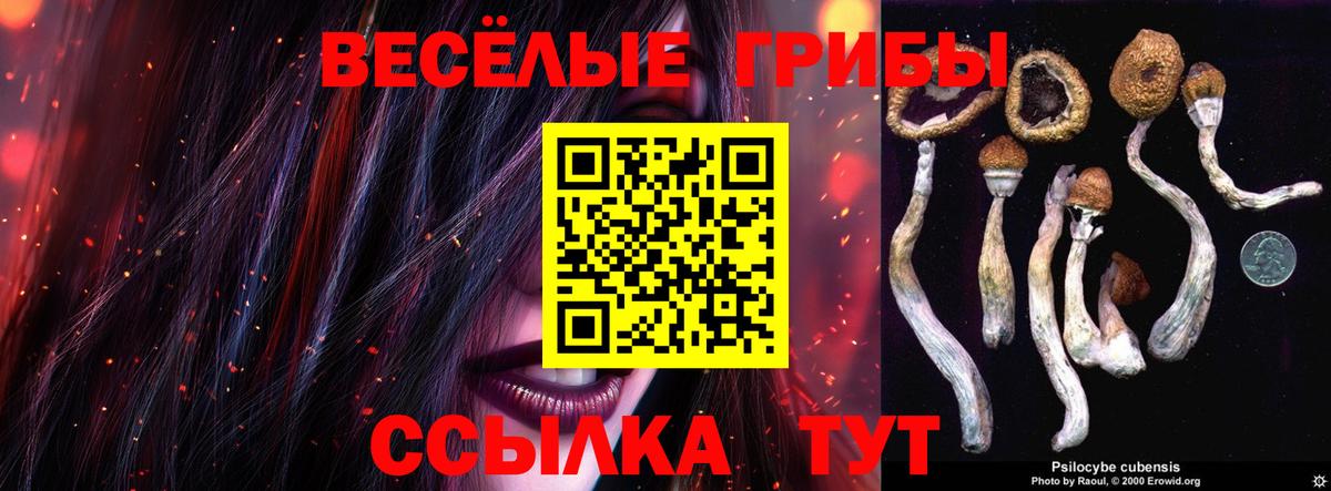 Псилоцибиновые грибы Psilocybe  Вход с VPN  Галлюциногенные грибы Psilocybe  Таганрог 